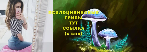 прущая мука Протвино