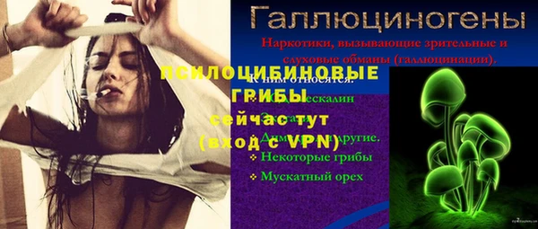 дмт Арсеньев