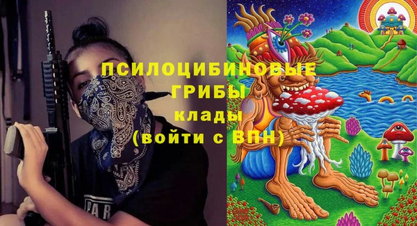 дмт Арсеньев